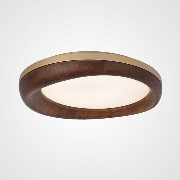 Потолочный светодиодный светильник Imperium Loft Runis 219474-26 изображение 1 Потолочный светодиодный светильник Imperium Loft Runis 219474-26 Фото № 1