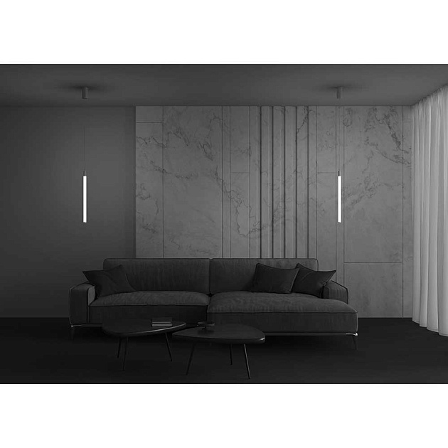 Подвесной светильник Maytoni Ray P022PL-L10W Фото № 3