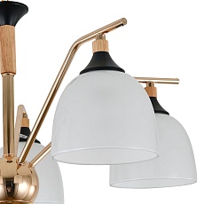 Подвесная люстра Escada Actinidia 2123/5P 1