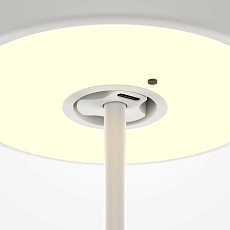 Настольная светодиодная лампа Maytoni Al Collaboration MOD229TL-L3W3K2 3