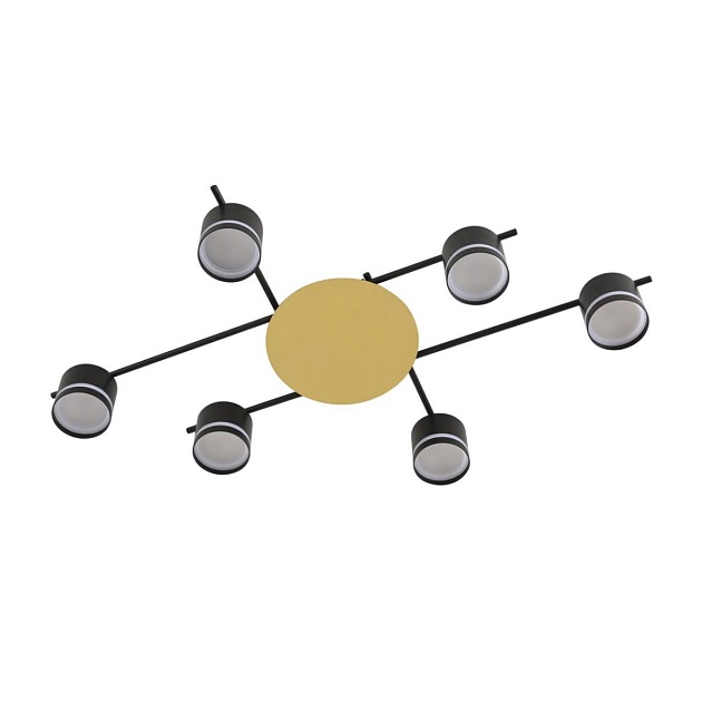 Светильник потолочный Lumion BENUA 8304/6C изображение 2 Светильник потолочный Lumion BENUA 8304/6C Фото № 2