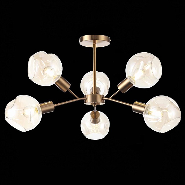 Потолочная люстра Evoluce Gentore SLE155302-06 Фото № 10