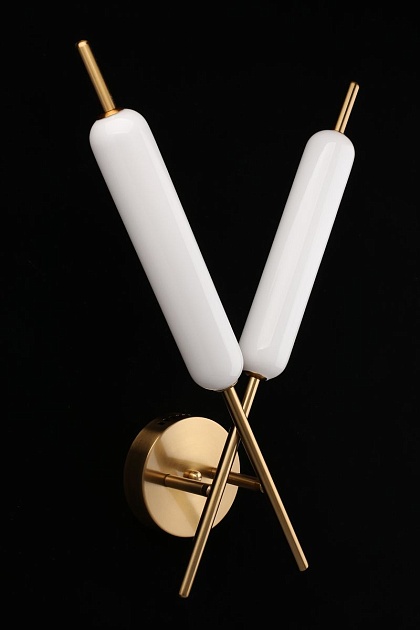 Настенный светильник Aployt Carla APL.010.01.16 Фото № 4