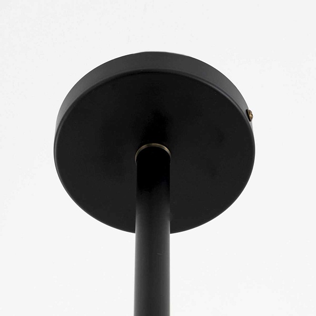 Потолочная люстра Citilux Планета CL105295 Фото № 8