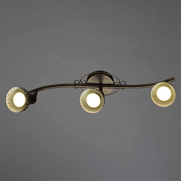 Спот Arte Lamp Focus A5219PL-3BR Фото № 2