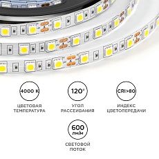Светодиодная лента OGM 14,4W/m 60LED/m 5050SMD дневной белый 5M LSE-269 1