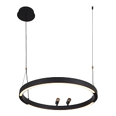 Подвесная светодиодная люстра F-Promo Slinga 4474-1P 5