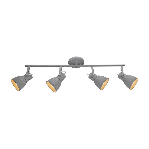 Спот Arte Lamp A1677PL-4GY Фото № 1