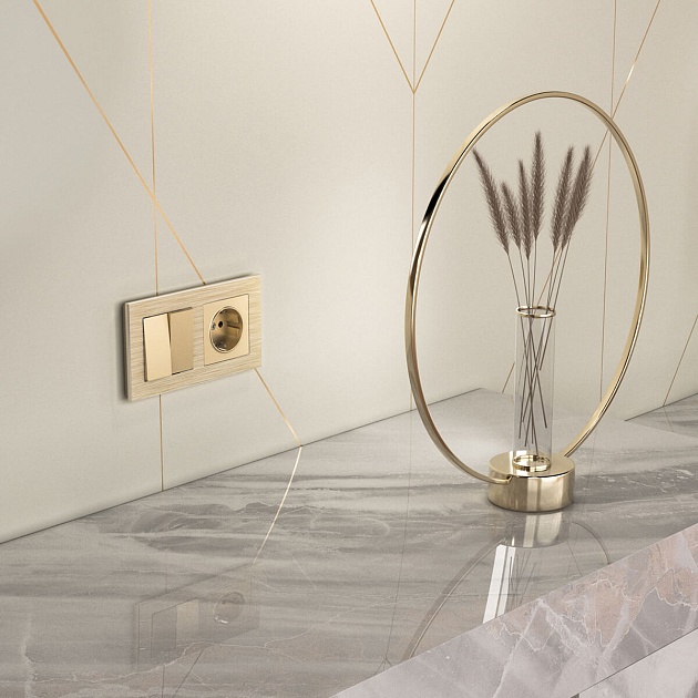 Розетка с заземлением Werkel шампань W1171011 4690389157363 Фото № 7