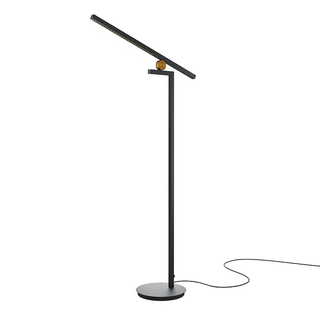 Торшер Maytoni Emphaty MOD363FL-L14B3K Фото № 1