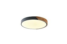 Потолочный светильник Zortes ALBERRO ZRS.01280.90 1