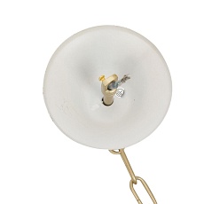 Люстра Lumion CLASSI 8318/12 4