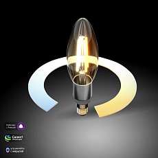 Лампа светодиодная филаментная диммируемая Elektrostandard (Умный дом) E14 5W 3300/4200/6500K прозрачная BLE1437 a055921 1