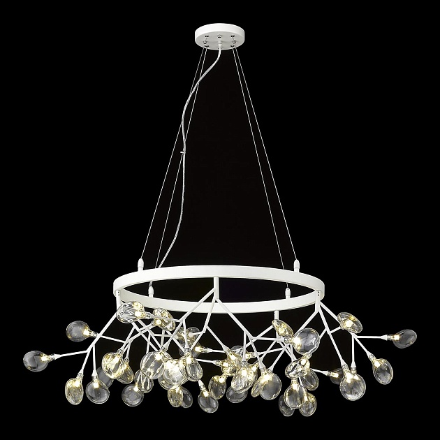 Подвесная люстра Wertmark Fiorita WE241.45.003 Фото № 1