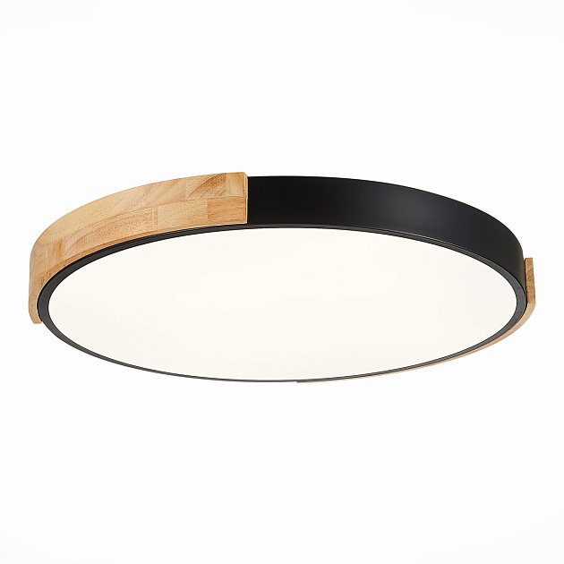 Потолочный сетодиодный светильник Evoluce Delia SLE201342-01 Фото № 4