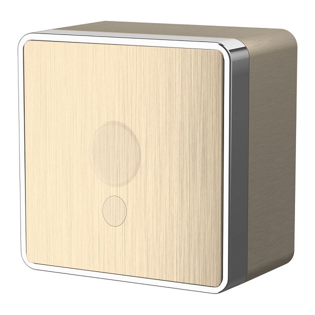 Вывод кабеля Werkel Gallant шампань рифленый W5050210 4690389164323 Фото № 1