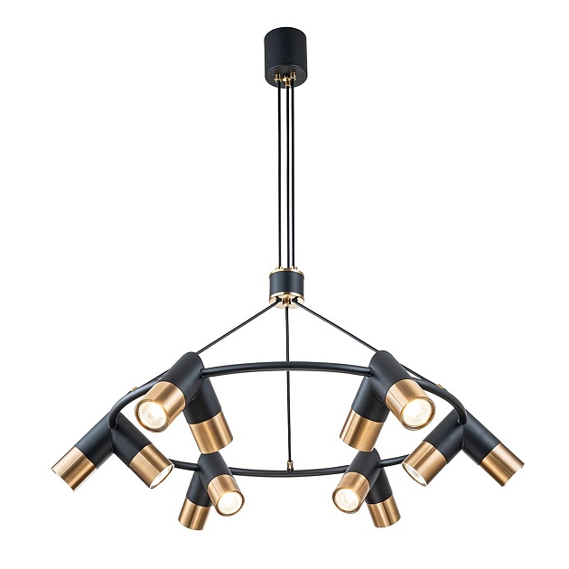 Подвесная люстра Indigo Doppio 11036/12P Black V000455 изображение 1 Подвесная люстра Indigo Doppio 11036/12P Black V000455 Фото № 1