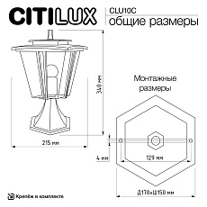 Уличный светильник Citilux Forts CLU10C 1