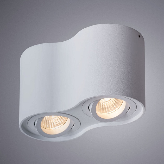 Потолочный светильник Arte Lamp Falcon A5645PL-2WH Фото № 2