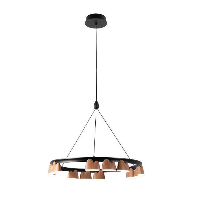 Подвесная светодиодная люстра Favourite Interline 4266-12P Фото № 1