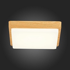 Потолочный светодиодный светильник Evoluce Taddio SLE200202-01 3