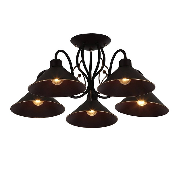 Потолочная люстра Evoluce Ciolla SLE120402-05 Фото № 1