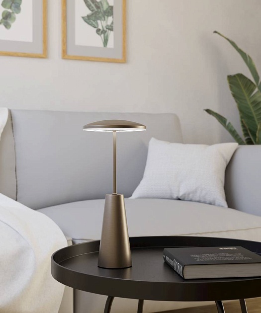 Уличный светодиодный светильник Eglo Piccola 900924 Фото № 9