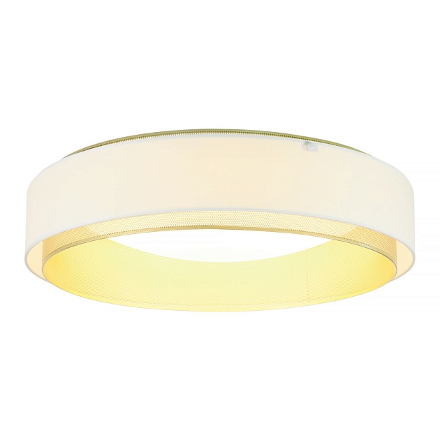 Потолочный светодиодный светильник MyFar Anders MR2371-1CL изображение 6 Потолочный светодиодный светильник MyFar Anders MR2371-1CL Фото № 6