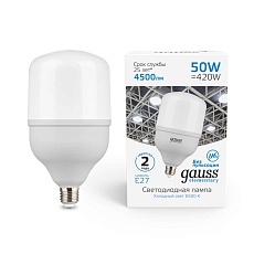 Лампа светодиодная Gauss E27 50W 6500K матовая 63235 1