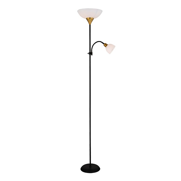 Торшер Arte Lamp Duetto A9569PN-2BK изображение 1 Торшер Arte Lamp Duetto A9569PN-2BK Фото № 1