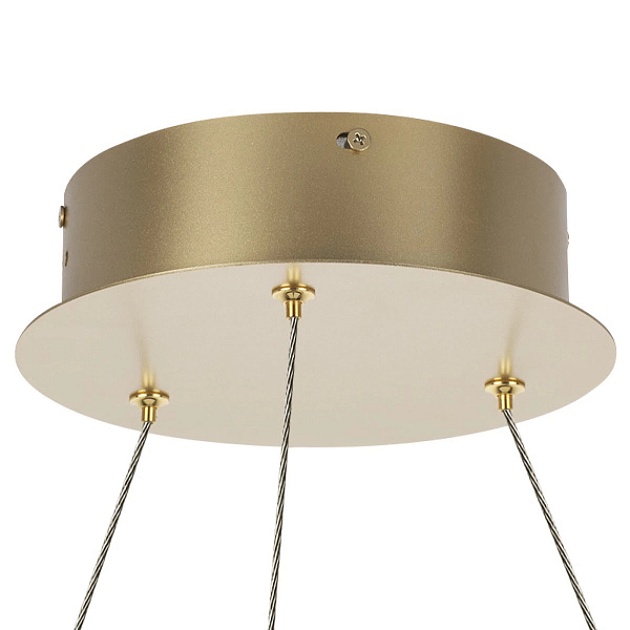 Подвесная светодиодная люстра Lightstar Rotonda 736323 Фото № 5