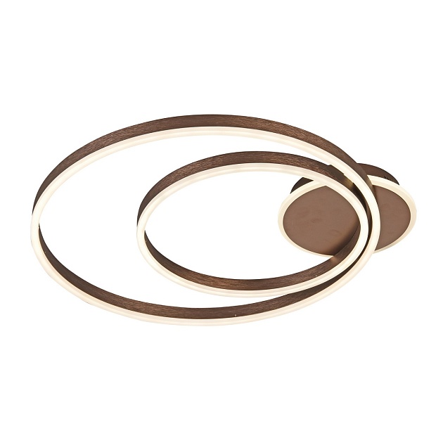 Потолочный светодиодный светильник Gerhort G61310/2A CF Фото № 2