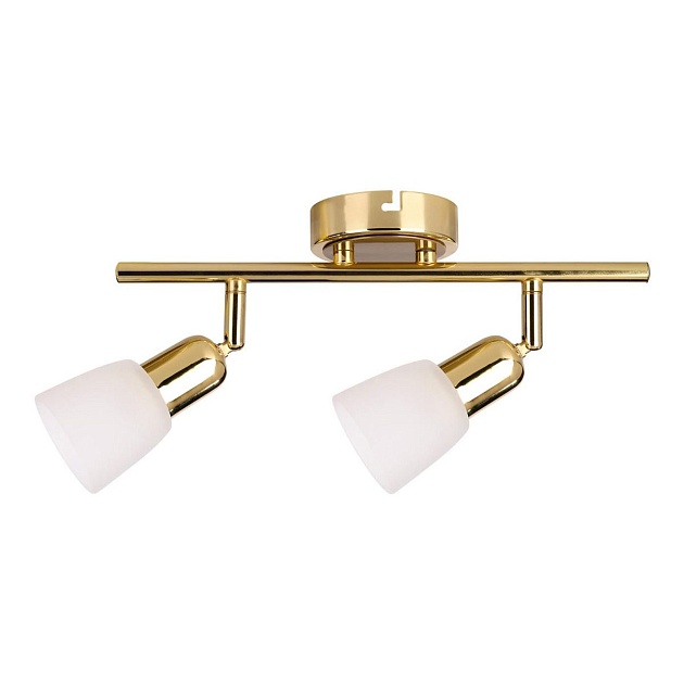 Спот Escada 5039/2PA Фото № 1