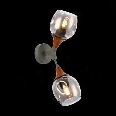 Бра Evoluce Ciotolla SLE113401-02 2