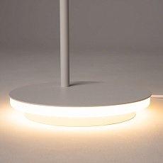 Торшер Maytoni Estudo Z010FL-L8W3K 3