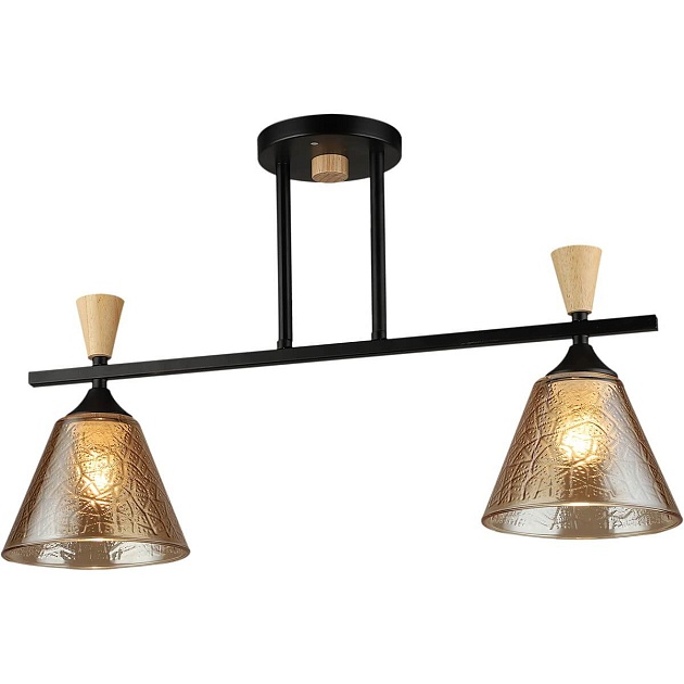 Спот Reluce 04864-0.3-02 BK+WOOD изображение 1 Спот Reluce 04864-0.3-02 BK+WOOD Фото № 1