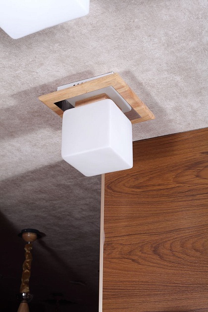 Потолочный светильник Lucia Tucci Natura 084.1 Фото № 4