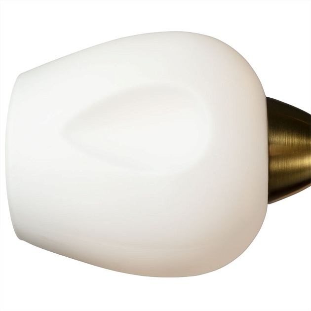 Потолочная люстра Arte Lamp Brighton A2706PL-5CK изображение 2 Потолочная люстра Arte Lamp Brighton A2706PL-5CK Фото № 2