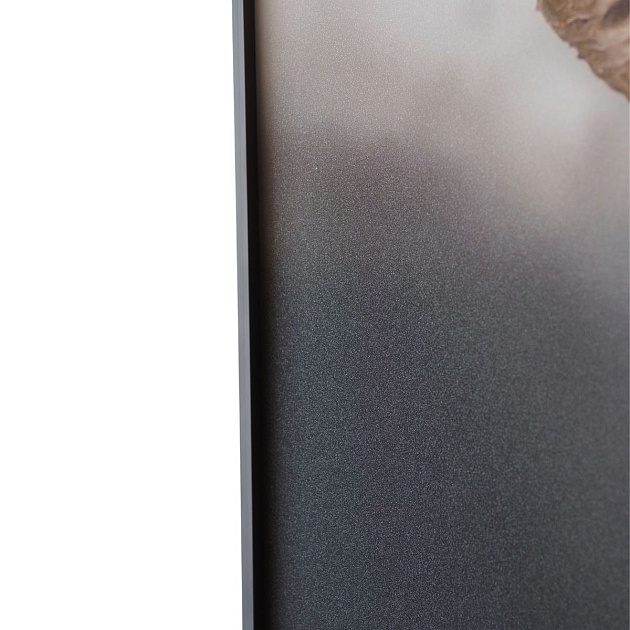 Картина Lumina Deco FP Elephant 50-70 Фото № 5