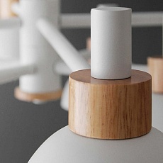 Подвесная люстра Imperium Loft Fanta 204548-26 1