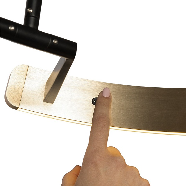 Торшер Loft IT Ring 10027 изображение 2 Торшер Loft IT Ring 10027 Фото № 2