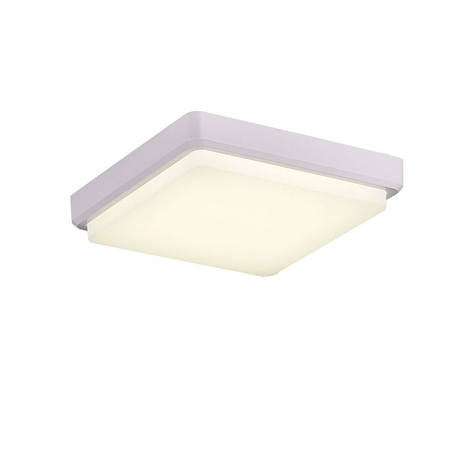 Потолочный светодиодный светильник Evoluce Taddio SLE200212-01 Фото № 2