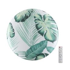 Настенно-потолочный светодиодный светильник Sonex Pale Flori 7748/DL 5