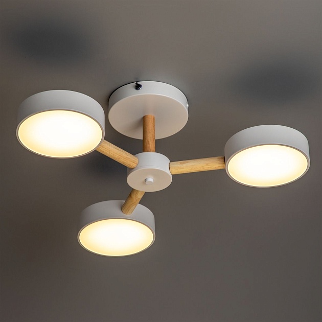 Потолочная светодиодная люстра Ritter Scandia 51589 4 Фото № 5