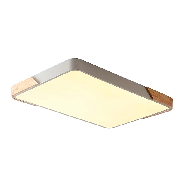 Потолочный светильник Zortes ALBERRO ZRS.01233.60 изображение 1 Потолочный светильник Zortes ALBERRO ZRS.01233.60 Фото № 1