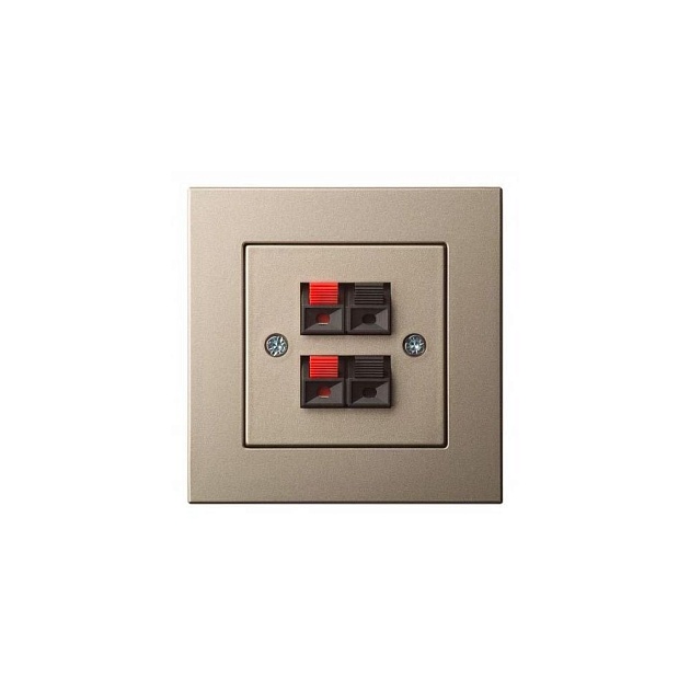 Аудиорозетка двойная Liregus Epsilon шампань 28-3241 изображение 1 Аудиорозетка двойная Liregus Epsilon шампань 28-3241 Фото № 1