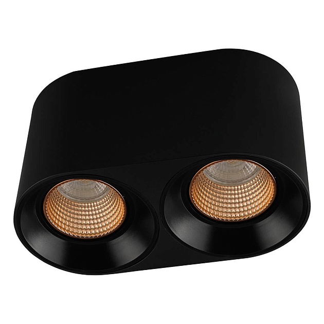 Накладной светильник Denkirs DK3096-BK+BR Фото № 1