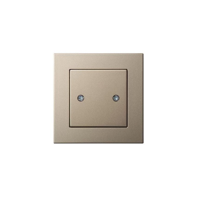 Заглушка Liregus Epsilon шампань 28-317 Фото № 1