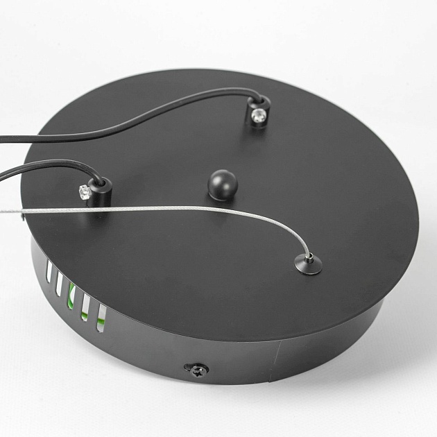 Подвесной светодиодный светильник Lussole Bradford LSP-7160 Фото № 2