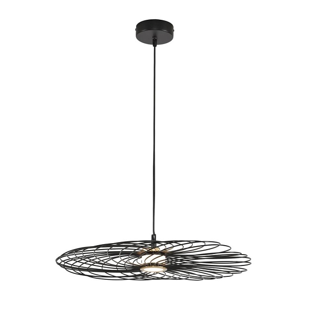 Подвес Lumion CAMOMILE 8379/10L изображение 1 Подвес Lumion CAMOMILE 8379/10L Фото № 1